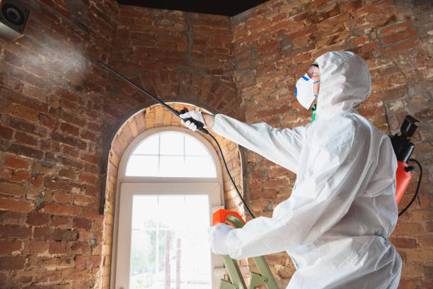 Best Water Damage & Mold Remediation  in Mount Zion, GA